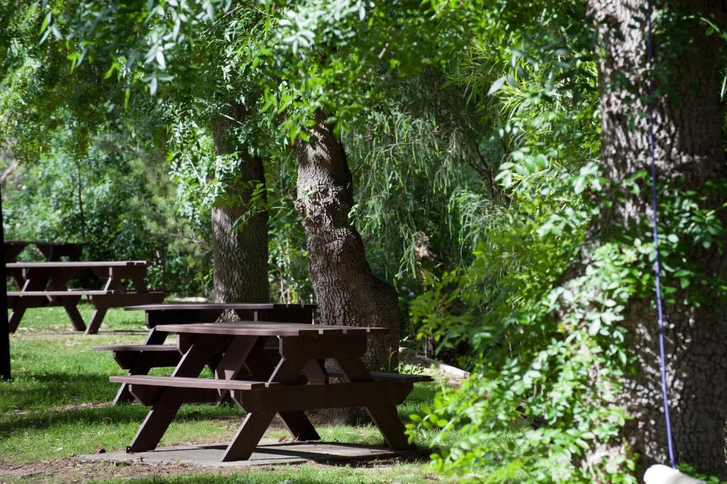 ホテル Adelaide Brownhill Creek Tourist Park エクステリア 写真