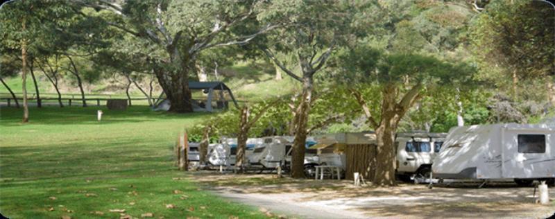 ホテル Adelaide Brownhill Creek Tourist Park エクステリア 写真